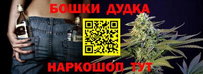 индика Ирбит