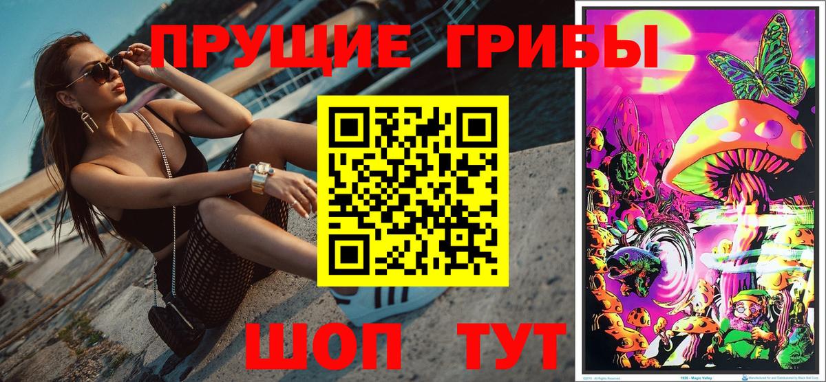 Галлюциногенные грибы прущие грибы Мичуринск
